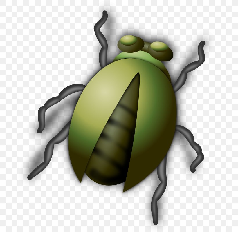 Beetle Free Content Clip Art, PNG, 800x800px, Insect, Arthropod, Bee, Beetle, Drawing Download Free