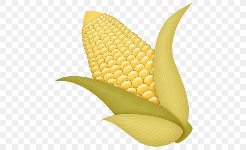 Corn On The Cob Fruit Autumn Clip Art, PNG, 478x500px, Corn On The Cob, Albom, Art, Autumn, Commodity Download Free