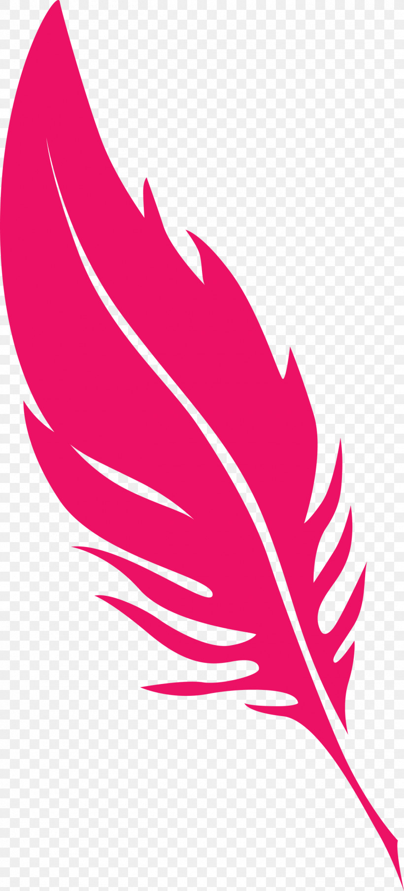 Feather, PNG, 1360x3000px, Feather, Biology, Leaf, Line, Meter Download Free