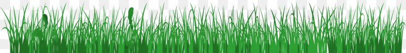Green, PNG, 2000x264px, Green, Grass, Grass Family, Plant Stem Download Free