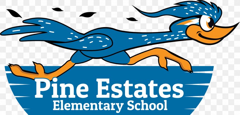Student Elementary School Pine Estates Road East Class, PNG, 2775x1334px, Student, Academic Year, Area, Artwork, Beak Download Free