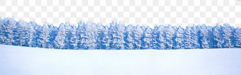 Winter Landscape Snow, PNG, 1920x600px, Winter, Autumn, Blue, Data, Freezing Download Free