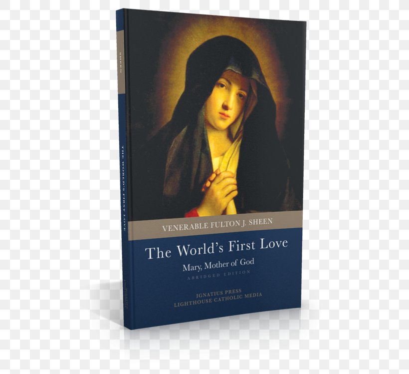 Mary Bible World's First Love Those Mysterious Priests Catholicism, PNG, 500x749px, Mary, Advertising, Bible, Book, Catholicism Download Free
