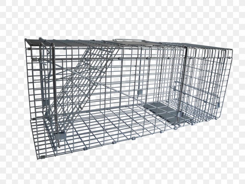 Cat Mousetrap Pest Control Rodent, PNG, 1000x750px, Cat, Animal, Basket, Cage, Castration Download Free