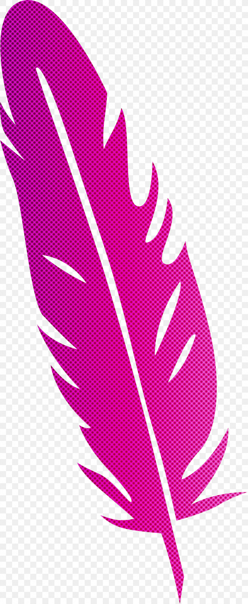 Feather, PNG, 1229x2998px, Feather, Biology, Flower, Ink, Leaf Download Free