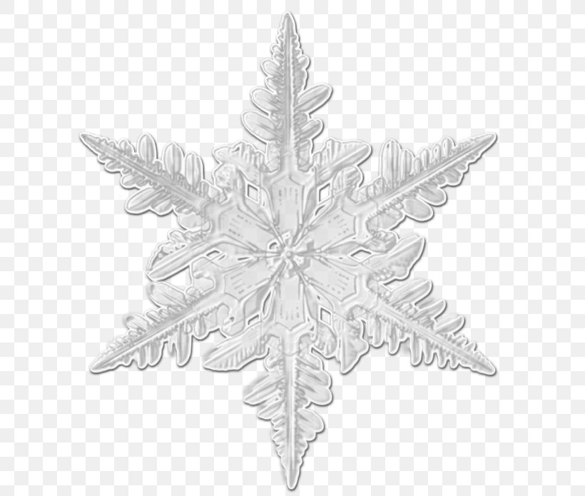 Snowflake Christmas Day Christmas Ornament White, PNG, 618x695px, Snowflake, Advertising, Black And White, Blog, Christmas Day Download Free