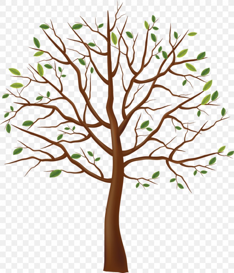 Tree Clip Art, PNG, 858x1000px, Tree, Branch, Flower, Information, Leaf Download Free