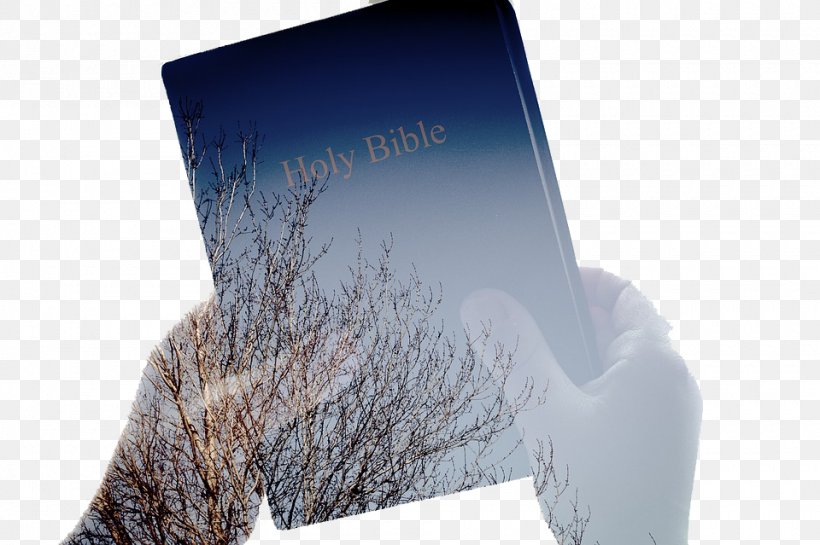 Bible Study New Testament God's Word Translation Religious Text, PNG, 960x639px, Bible, Bible Study, Blessing, Chapters And Verses Of The Bible, Christianity Download Free
