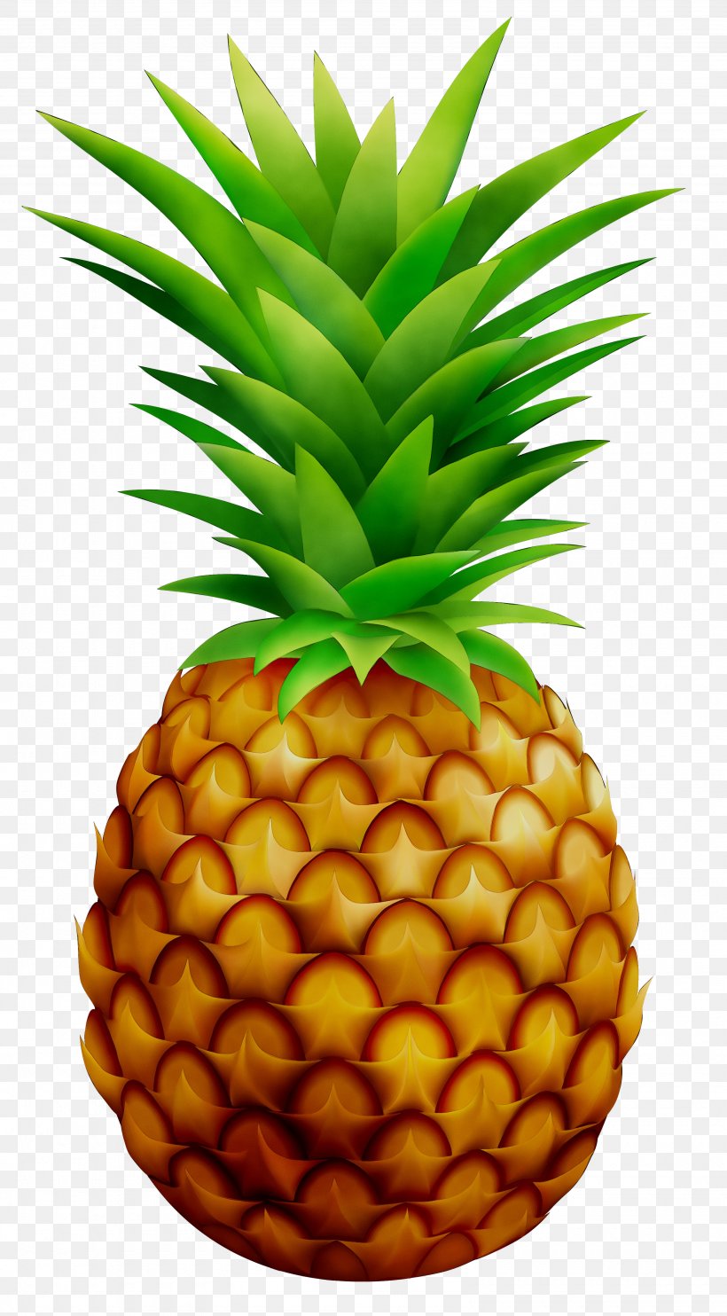 Pineapple Cake Pineapple Bun Clip Art, PNG, 3175x5748px, Pineapple Cake, Accessory Fruit, Ananas, Bromeliaceae, Cocktail Garnish Download Free