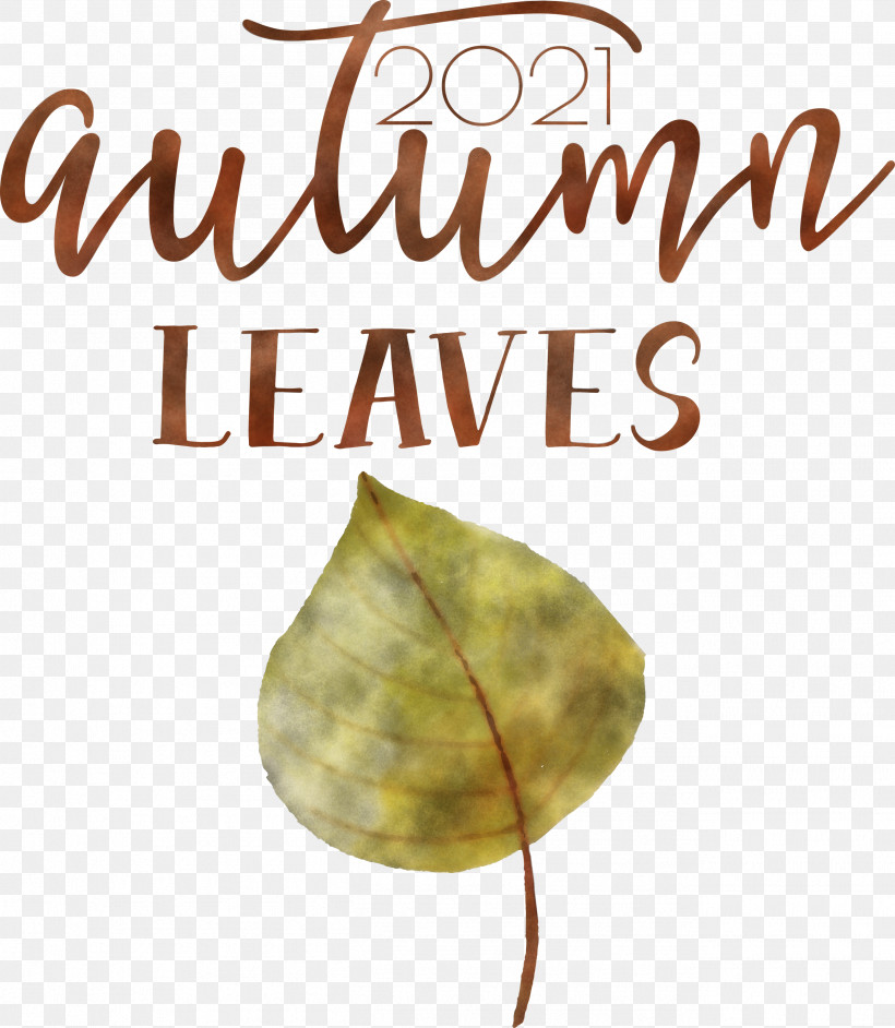 Autumn Leaves Autumn Fall, PNG, 2608x2999px, Autumn Leaves, Autumn, Biology, Fall, Leaf Download Free
