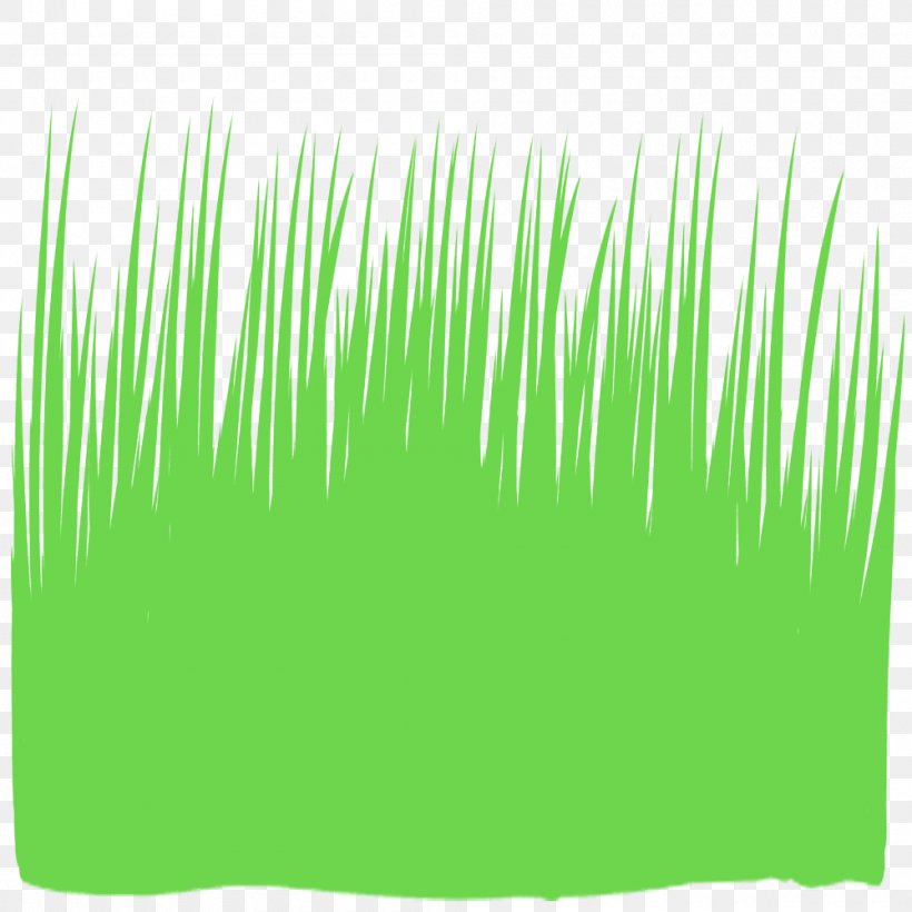 Grass Illustration Silhouette Weed Text, PNG, 1000x1000px, Grass, Commodity, Crayon, Grass Family, Grasses Download Free