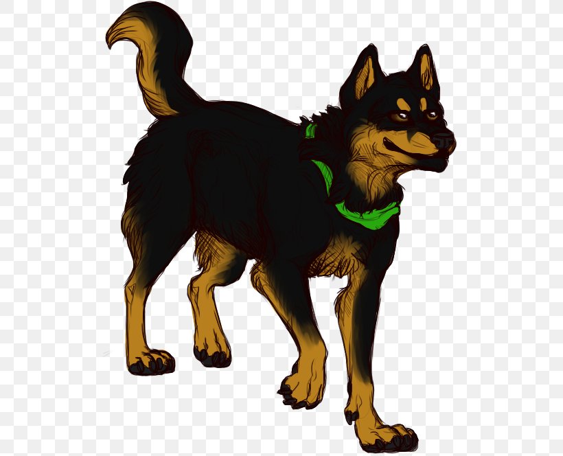 Lancashire Heeler Australian Kelpie Vertebrate Puppy Dog Breed, PNG, 519x664px, Lancashire Heeler, Animal, Australian Kelpie, Breed, Breed Group Dog Download Free