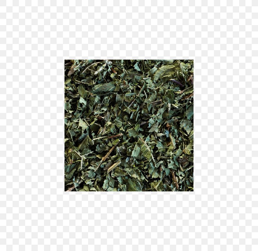 Sencha Green Tea Gunpowder Tea Oolong, PNG, 800x800px, Sencha, Caffeine, Camouflage, Chinese Tea, Chun Mee Download Free