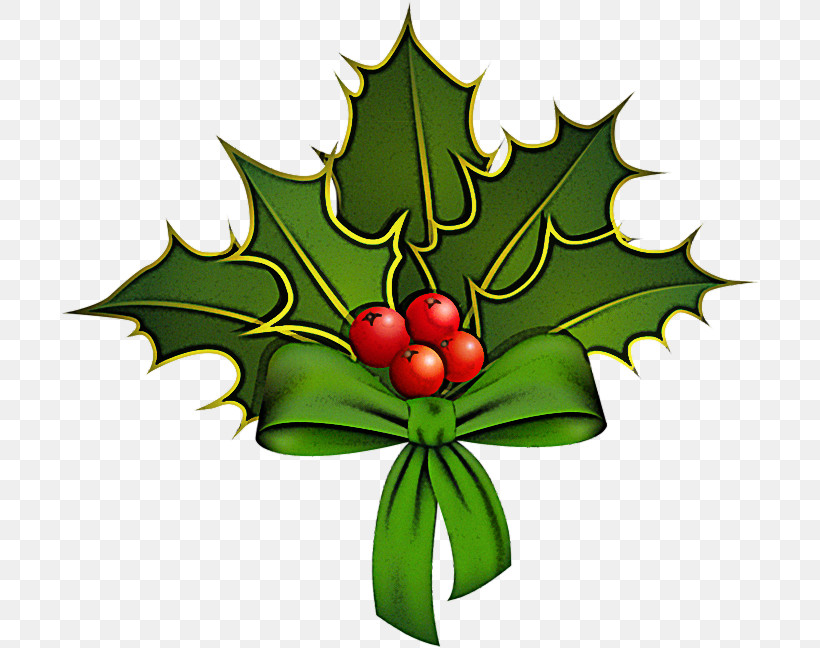 Holly, PNG, 699x648px, Holly, American Holly, Flower, Hollyleaf Cherry, Leaf Download Free