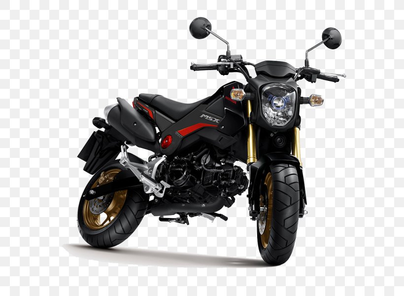 Honda Grom Motorcycle Accessories Scooter, PNG, 800x600px, Honda, Automotive Exhaust, Automotive Wheel System, Brake, Car Download Free