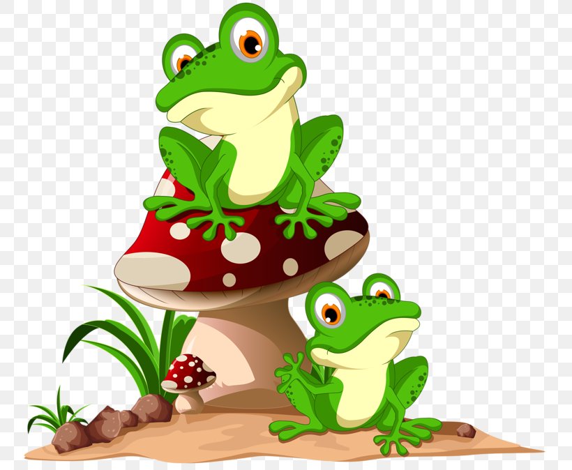 Frog Cartoon Clip Art, PNG, 800x674px, Frog, Amphibian, Cartoon, Cuteness, Funny Animal Download Free