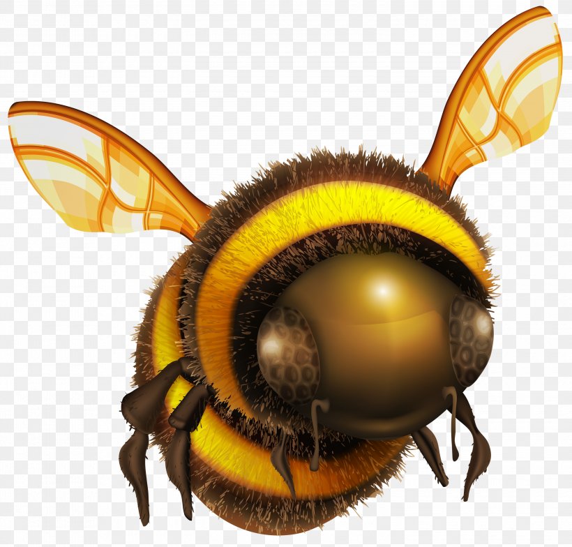 Honey Bee Clip Art, PNG, 3000x2870px, Bee, Arthropod, Beehive, Honey Bee, Honeycomb Download Free