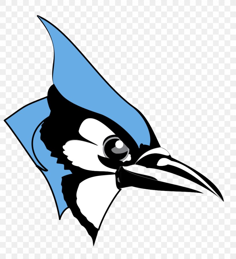 Johns Hopkins University Johns Hopkins Blue Jays Men's Lacrosse Johns Hopkins Blue Jays Women's Lacrosse Centennial Conference College, PNG, 933x1024px, Johns Hopkins University, Artwork, Beak, Bird, Black And White Download Free