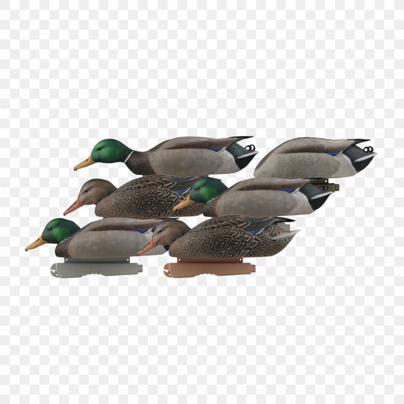 Mallard Duck Decoy Goose, PNG, 1181x1181px, Mallard, Avery Dennison, Beak, Bird, Com Download Free
