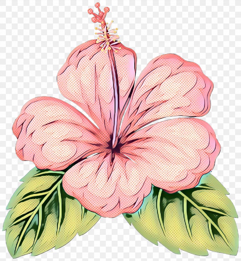 Rosemallows Floral Design Cut Flowers, PNG, 2766x3000px, Rosemallows, Anthurium, Botany, Cut Flowers, Floral Design Download Free