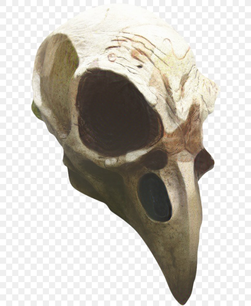 Skull, PNG, 634x998px, Skull, Bone, Ear, Head, Headgear Download Free