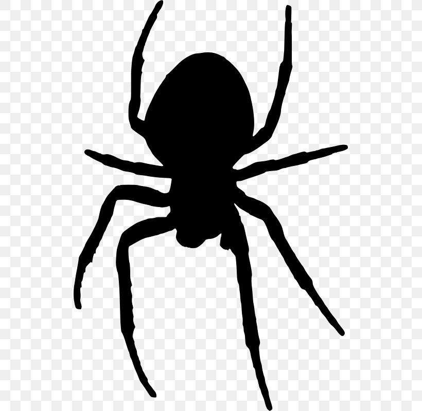 Spider Web Clip Art, PNG, 533x800px, Spider, Arachnid, Arthropod, Artwork, Black And White Download Free