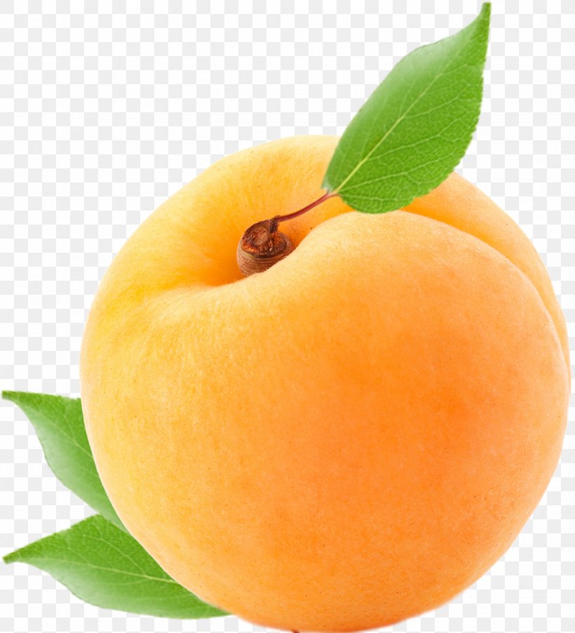 Apricot Food Peach Fruit Plum, PNG, 1129x1243px, Apricot, Bitter Orange, Codepen, Diet Food, Food Download Free