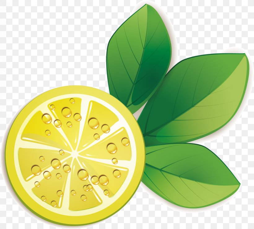 Lemon Rodaja De Limxf3n, PNG, 1617x1459px, Lemon, Auglis, Citrus, Food, Fruit Download Free