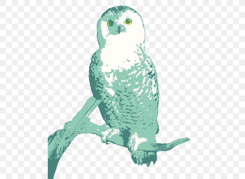 Owl Fauna Beak Teal, PNG, 500x600px, Owl, Beak, Bird, Bird Of Prey, Fauna Download Free