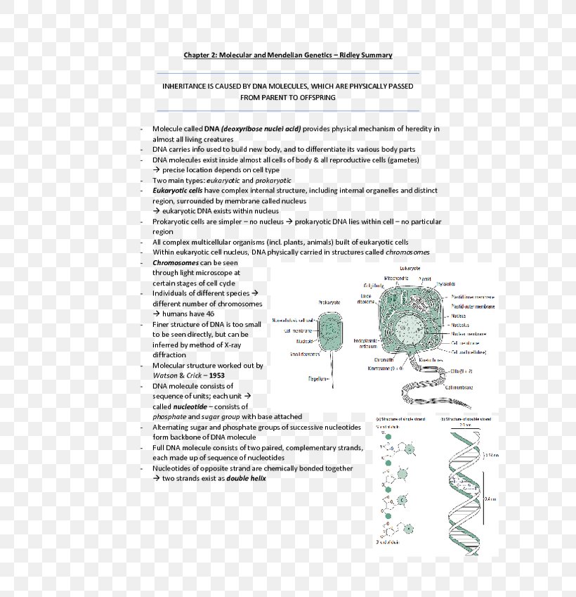 Document Line Organism Recipe Screenshot, PNG, 600x849px, Document, Area, Diagram, Organism, Paper Download Free