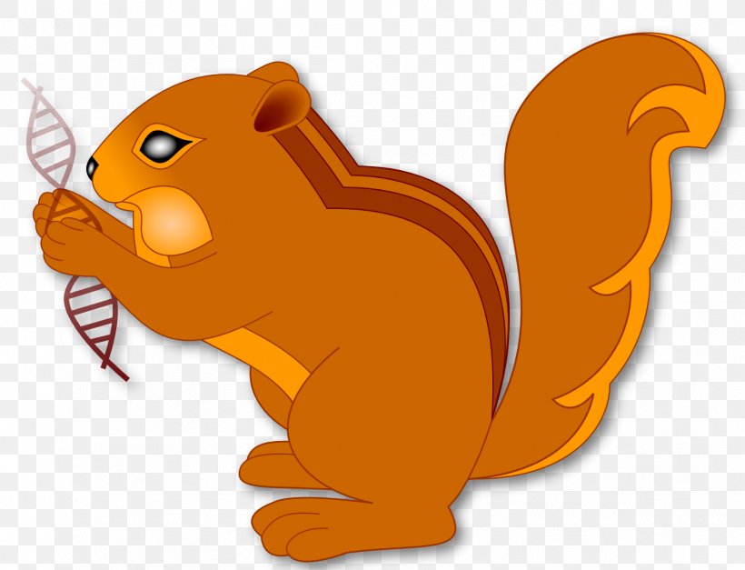 Whiskers Chipmunk Canidae Squirrel Clip Art, PNG, 1761x1347px, Whiskers, Autosome, Big Cats, Bioinformatics, Canidae Download Free
