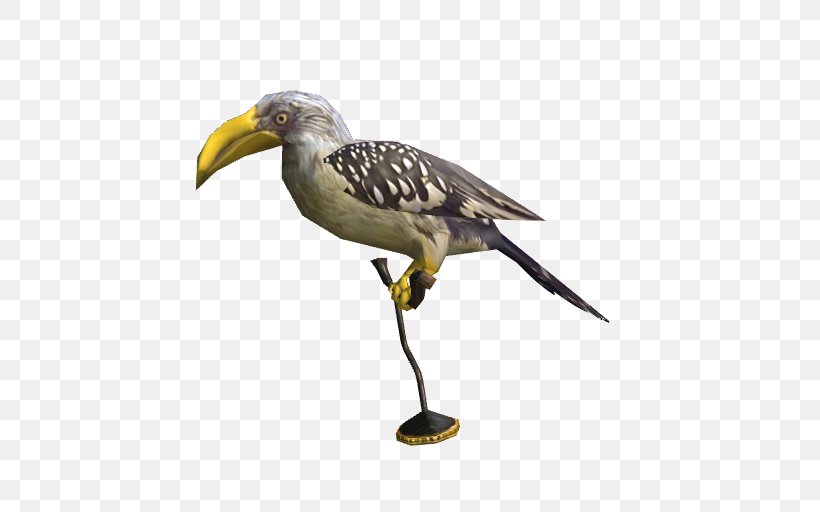 Hornbill Bird Crane Beak Ibis, PNG, 512x512px, Hornbill, Beak, Bird, Coraciiformes, Crane Download Free