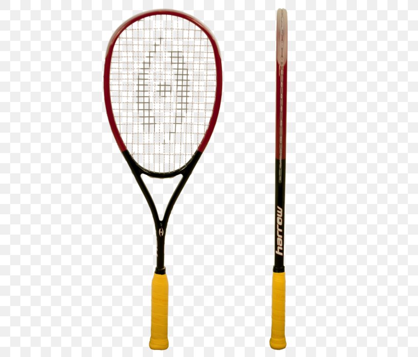 Racket Squash Sporting Goods Tecnifibre, PNG, 700x700px, Racket, Asics, Badminton, Lacrosse, Natalie Grainger Download Free
