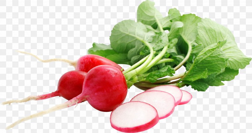 Vegetable Daikon Radishes Food Raphanus Raphanistrum Subsp. Sativus, PNG, 4335x2290px, Vegetable, Beet, Beetroot, Chard, Daikon Download Free