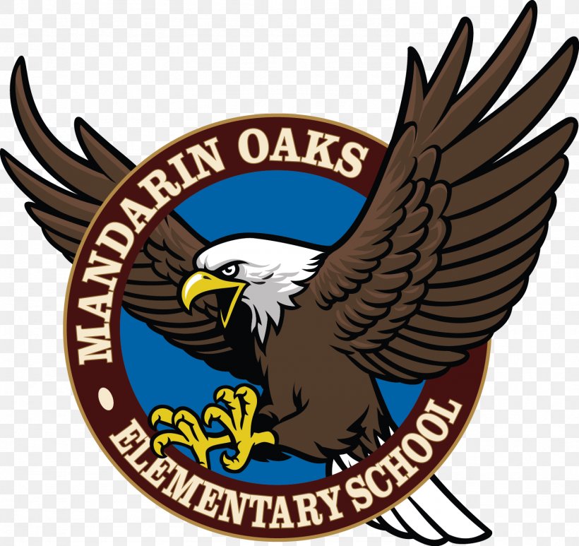 Mandarin Oaks Elementary School Bald Eagle, PNG, 1487x1403px, Bald Eagle, Accipitriformes, Beak, Bird, Bird Of Prey Download Free