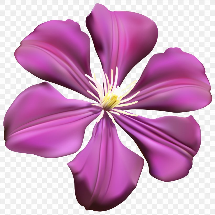Purple Flower, PNG, 4976x5000px, Flower, Color, Cut Flowers, Flowering Plant, Herbaceous Plant Download Free