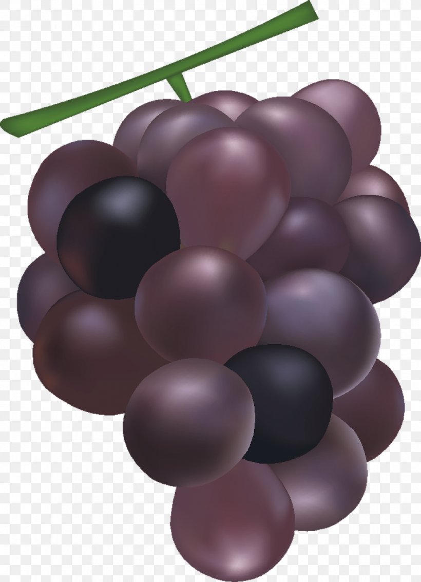 Common Grape Vine Wine Grape Seed Extract Food, PNG, 926x1280px, Grape, Auglis, Common Grape Vine, Food, Food Wine Download Free
