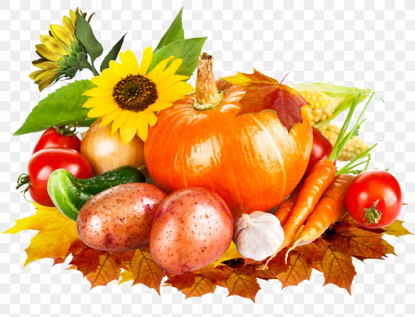 Crop Yield Vegetable Harvest Pumpkin Clip Art, PNG, 1016x776px, Crop Yield, Brassica Oleracea, Carrot, Cucumber, Cucurbita Download Free