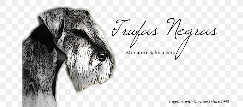 Dog Breed Miniature Schnauzer Snout Périgord Black Truffle, PNG, 750x361px, Dog Breed, Black, Black And White, Brand, Breed Download Free
