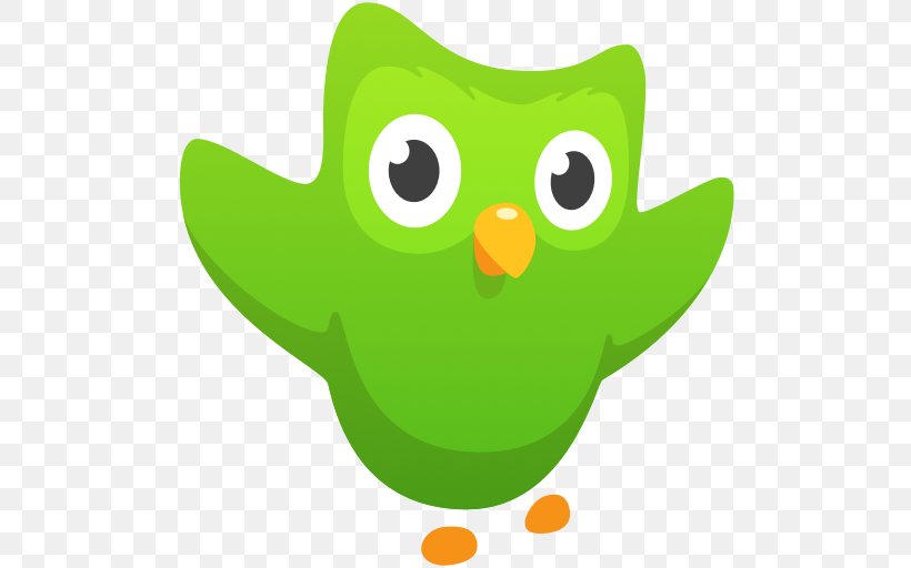 Duolingo Memrise Learning Language Education, PNG, 512x512px, Duolingo, Beak, Bird, Education, English Download Free