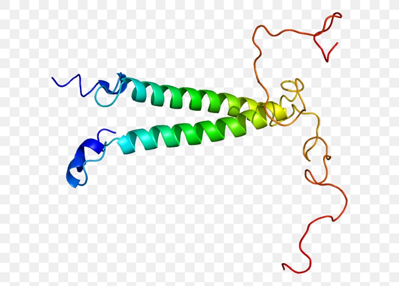 Gene TSC22D3 Protein Leucine Zipper TSC22D1, PNG, 660x588px, Watercolor, Cartoon, Flower, Frame, Heart Download Free