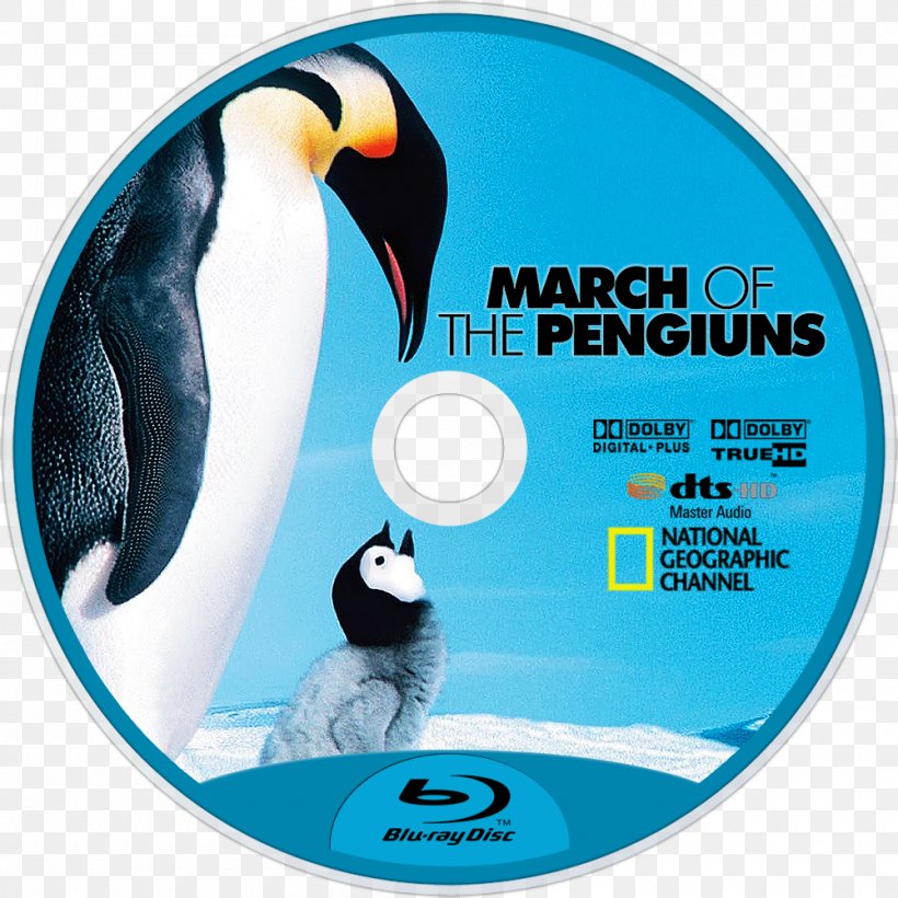 March Of The Penguins Documentary Film Emperor Penguin, PNG, 1000x1000px, Penguin, Antarctic, Brand, Compact Disc, Documentary Film Download Free