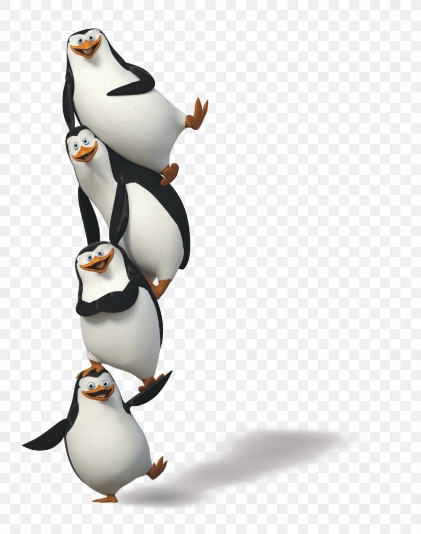 Penguin Madagascar Clip Art, PNG, 1000x1268px, Kowalski, Animation, Beak,  Bird, Dreamworks Animation Download Free