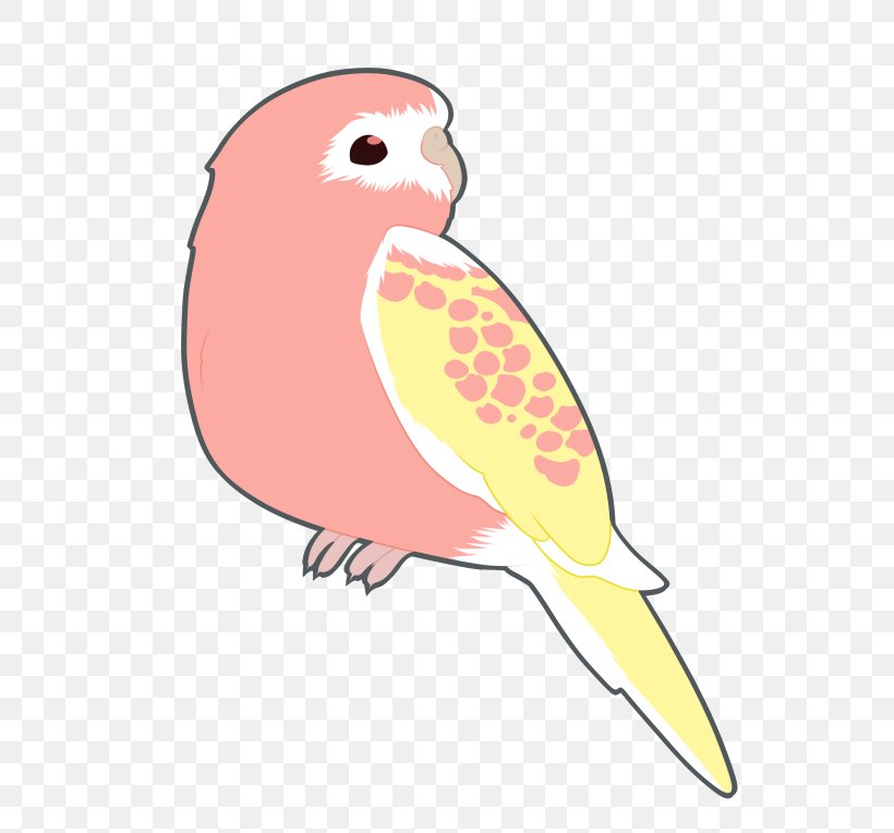 Budgerigar Clip Art Bird Cockatiel Parakeet, PNG, 540x764px, Budgerigar, Artwork, Beak, Bird, Cockatiel Download Free
