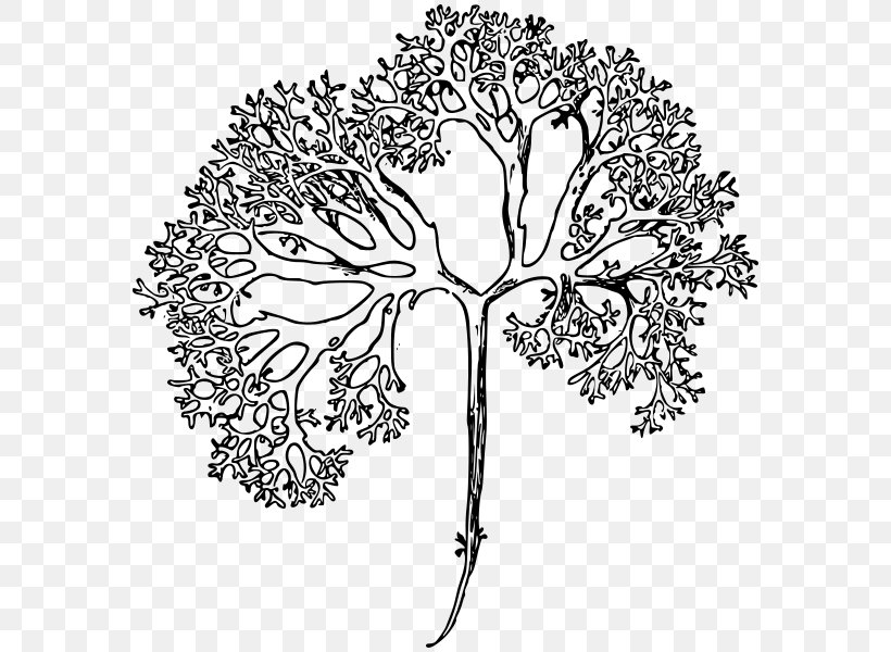 Floral Design Twig Drawing Cut Flowers, PNG, 584x600px, Floral Design, Area, Art, Artwork, Black And White Download Free