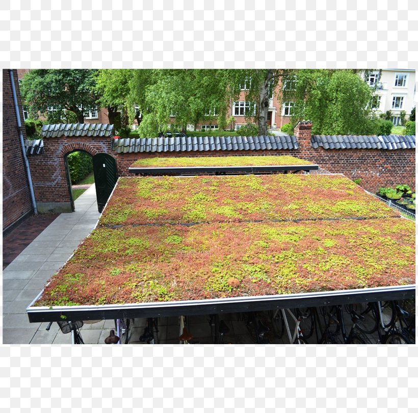 Green Roof Stonecrop BG Byggros A/S Callapor A/S, PNG, 810x810px, Roof, Degree, Diadem, Garden, Grass Download Free
