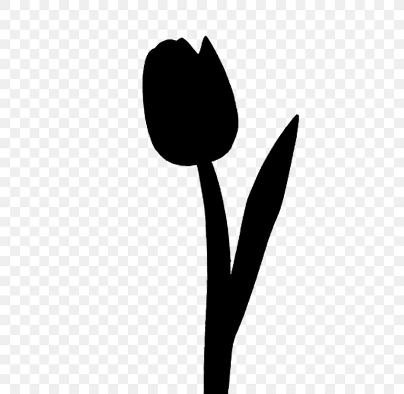 Tulip Plant Stem Clip Art Leaf Desktop Wallpaper, PNG, 800x800px, Tulip, Blackandwhite, Botany, Computer, Flower Download Free