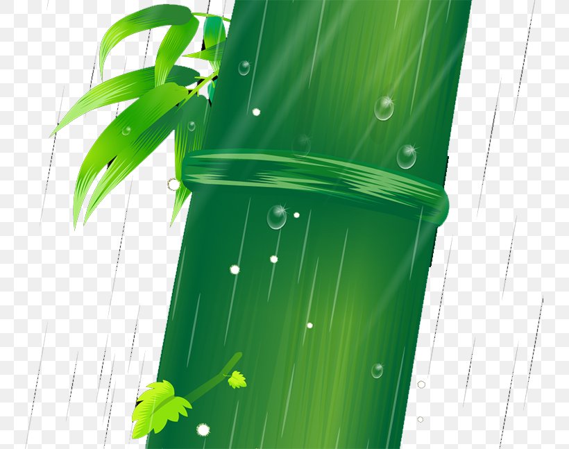 Bamboo Bamboe Leaf, PNG, 747x647px, Bamboo, Bamboe, Grass, Grasses, Gratis Download Free