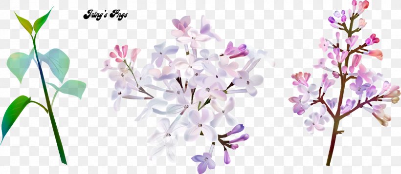 Cut Flowers Floral Design Image, PNG, 1294x564px, Flower, Blossom, Branch, Cut Flowers, Floral Design Download Free