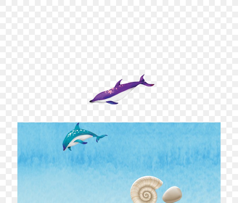 Dolphin Summer Wallpaper, PNG, 700x700px, Dolphin, Designer, Drawing, Fish, Google Images Download Free